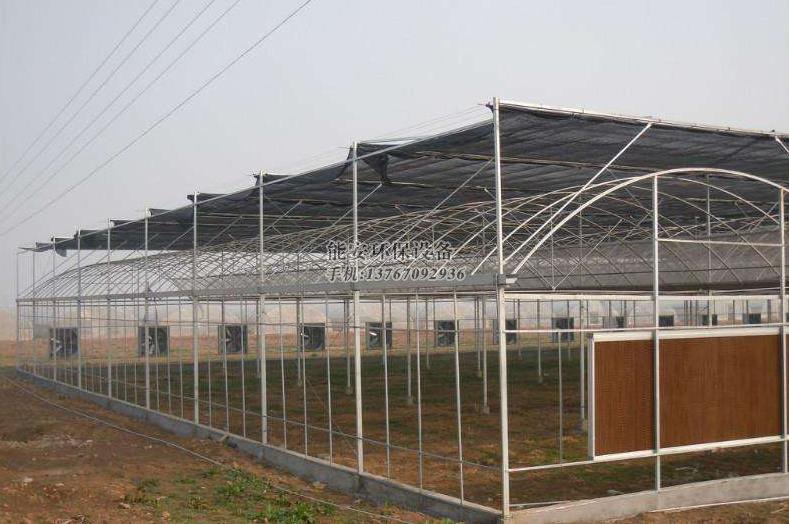 1646021439127560.jpg 2.jpg