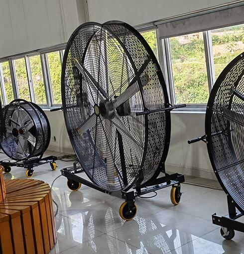 1646355745489941.jpg 2.jpg