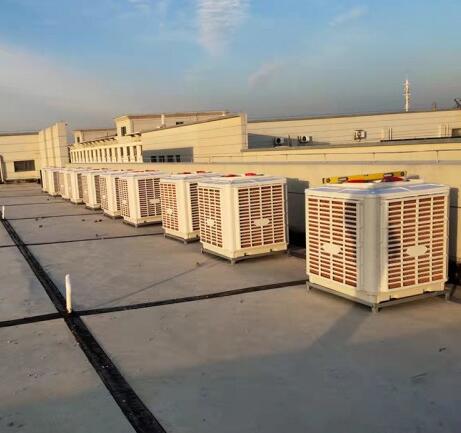 1646443288169373.jpg 2.jpg